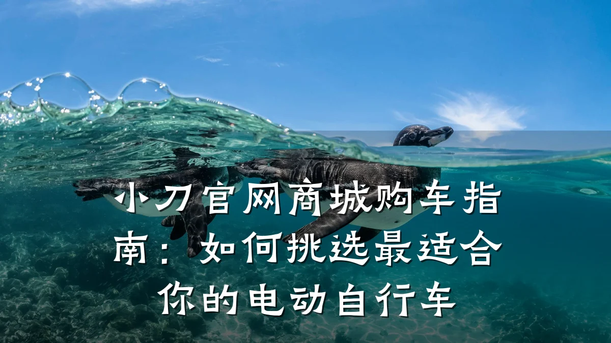 小刀官网商城购车指南：如何挑选最适合你的电动自行车