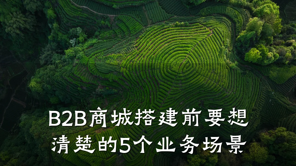 B2B商城搭建前要想清楚的5个业务场景