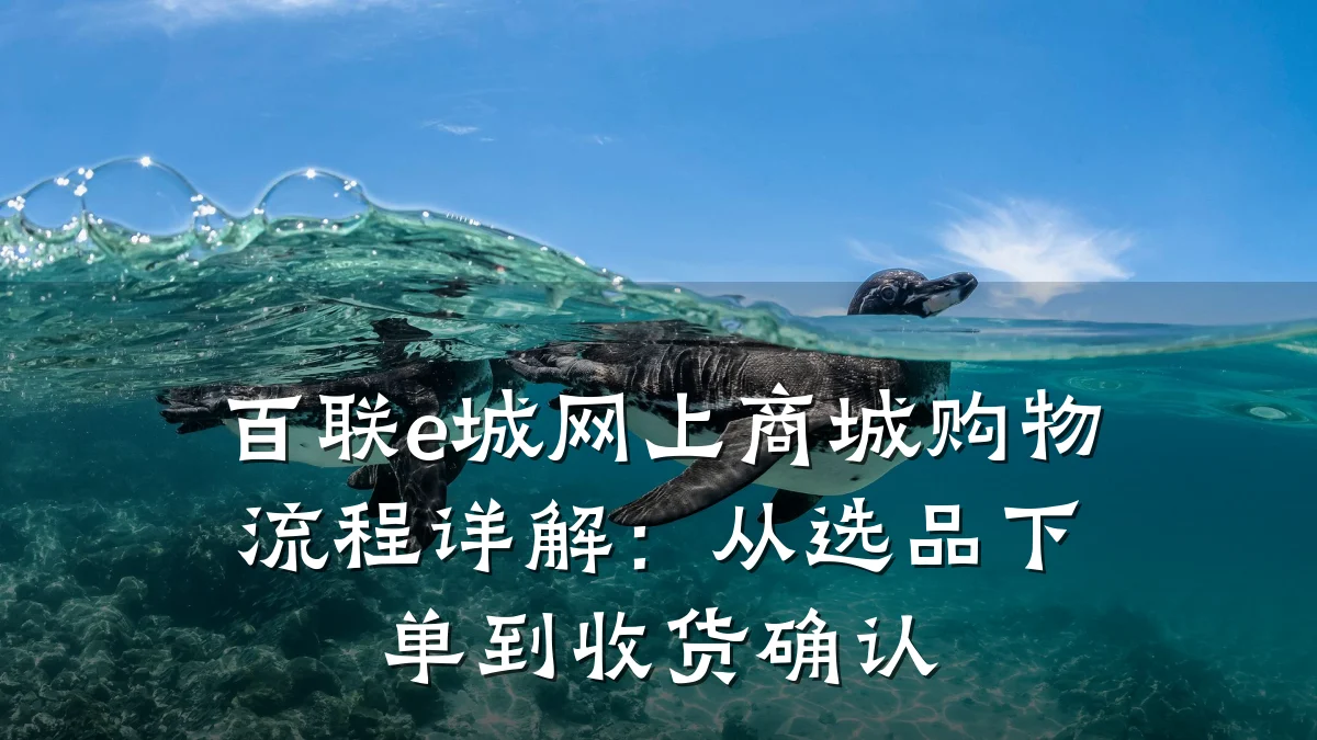 百联e城网上商城购物流程详解:从选品下单到收货确认