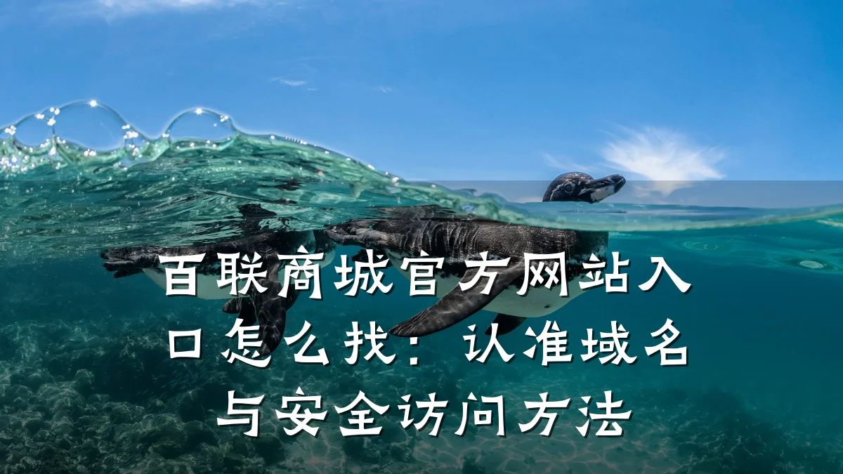 百联商城官方网站入口怎么找:认准域名与安全访问方法