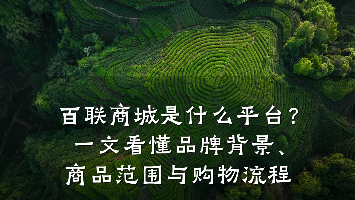 百联商城是什么平台？一文看懂品牌背景、商品范围与购物流程