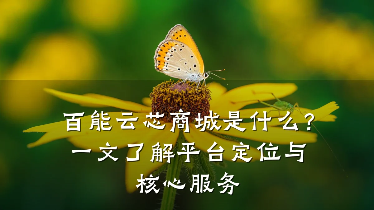 百能云芯商城是什么？一文了解平台定位与核心服务