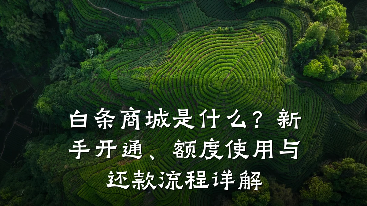 白条商城是什么?新手开通、额度使用与还款流程详解