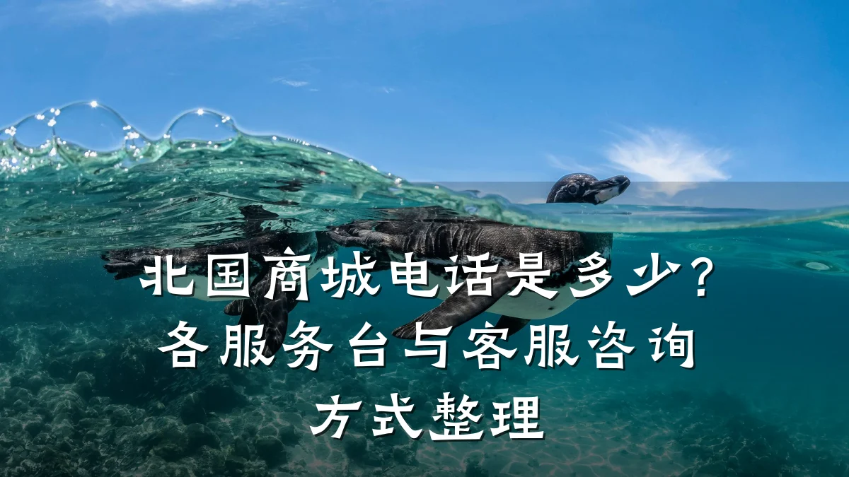 北国商城电话是多少?各服务台与客服咨询方式整理