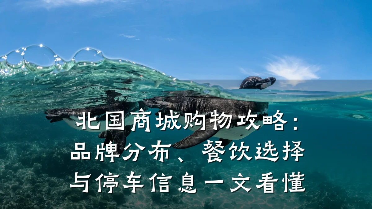 北国商城购物攻略：品牌分布、餐饮选择与停车信息一文看懂
