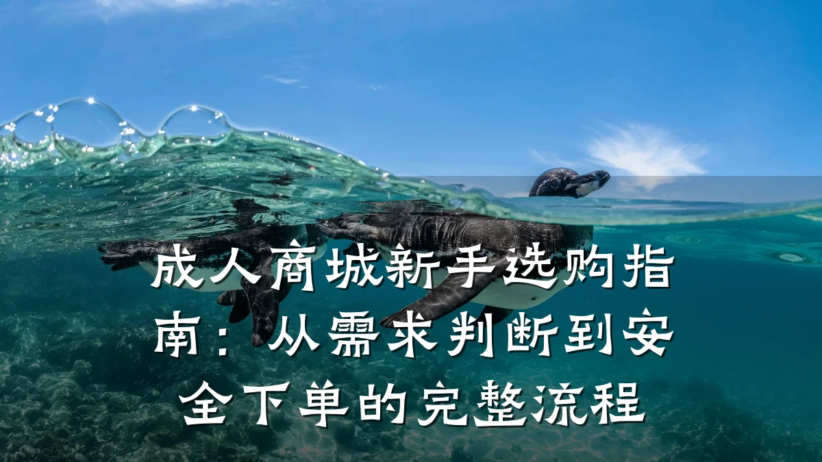 成人商城新手选购指南:从需求判断到安全下单的完整流程