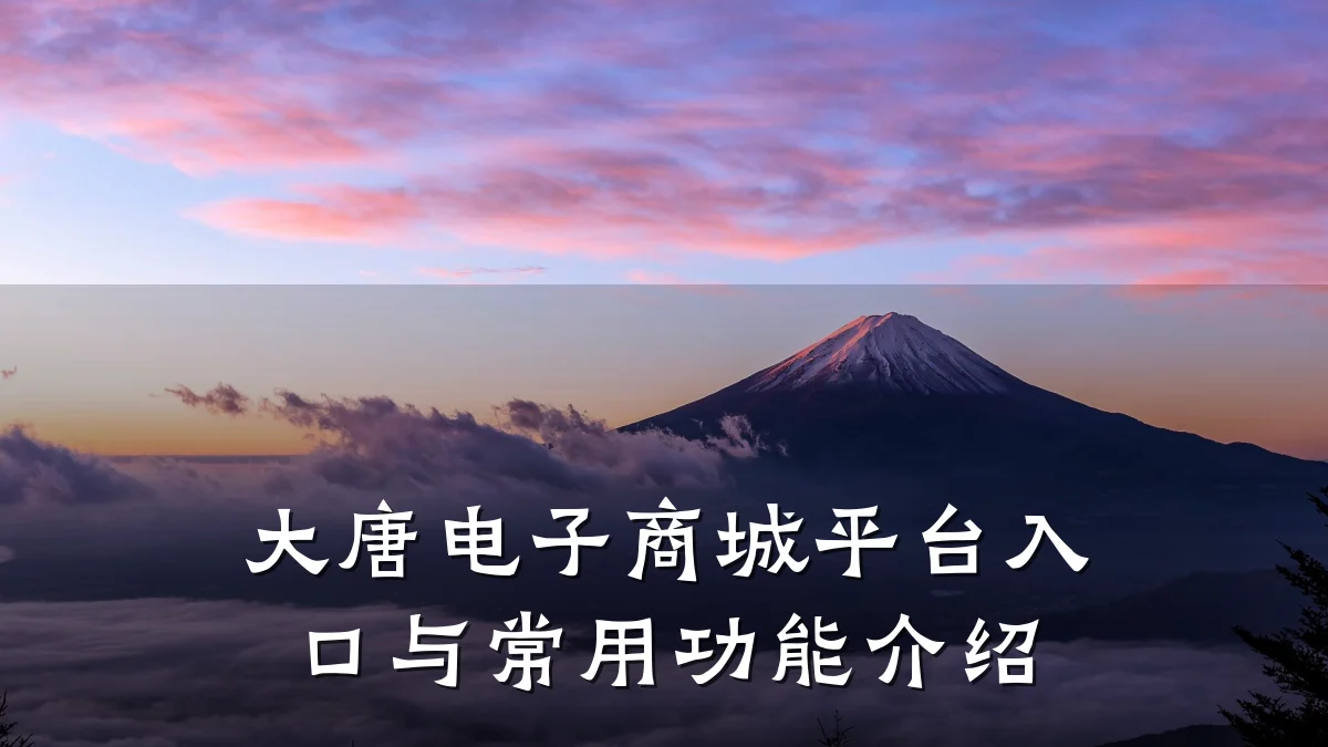 大唐电子商城平台入口与常用功能介绍
