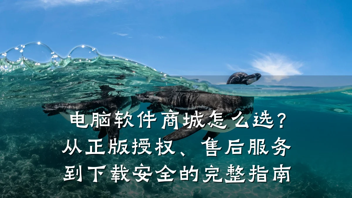 电脑软件商城怎么选?从正版授权、售后服务到下载安全的完整指南