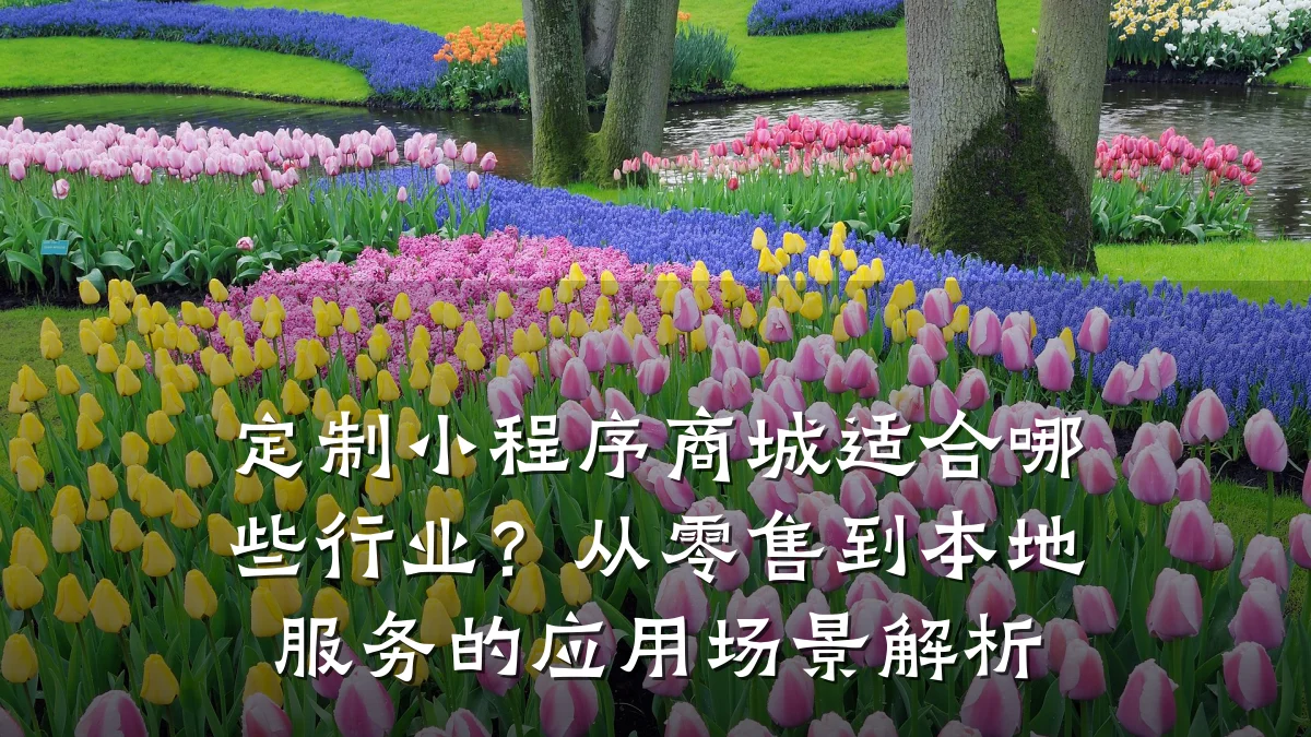 定制小程序商城适合哪些行业？从零售到本地服务的应用场景解析