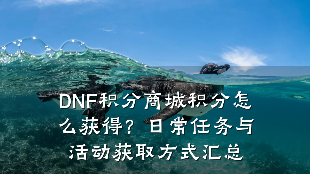 DNF积分商城积分怎么获得?日常任务与活动获取方式汇总