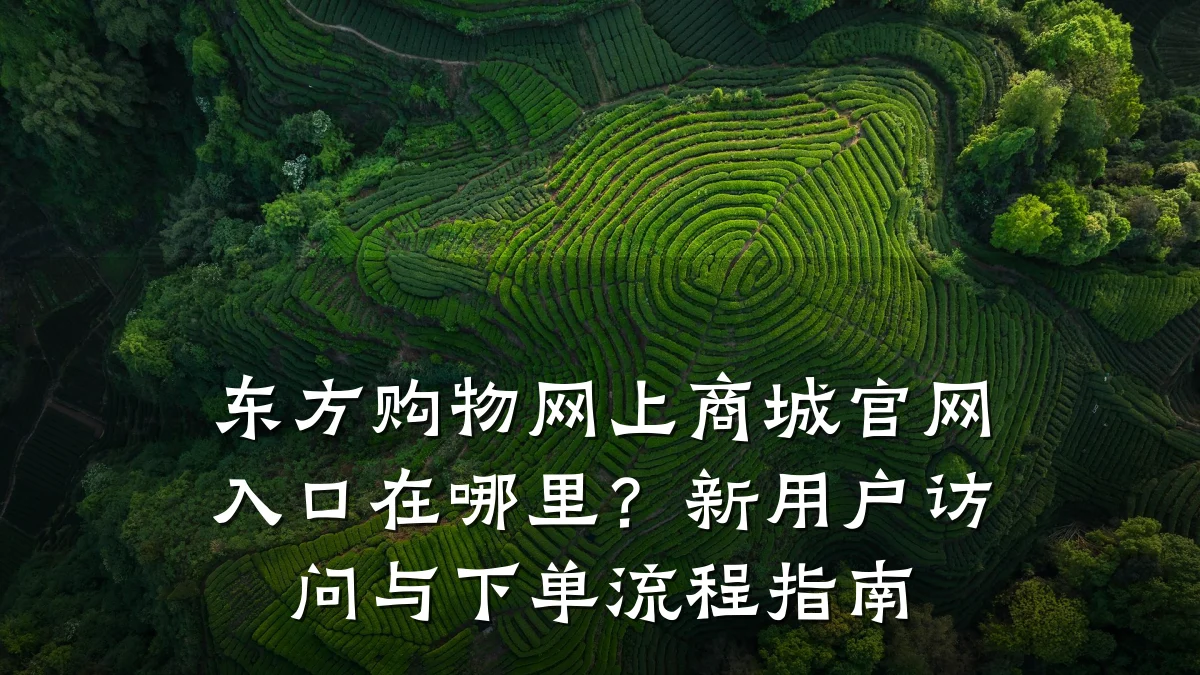 东方购物网上商城官网入口在哪里?新用户访问与下单流程指南