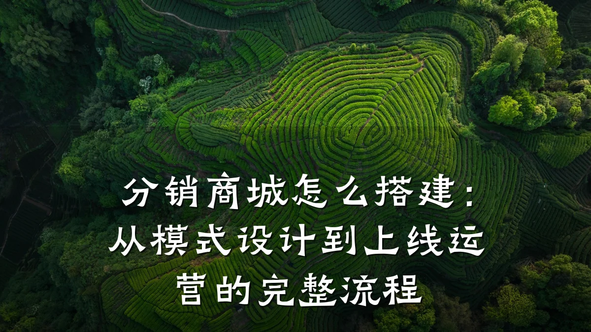 分销商城怎么搭建：从模式设计到上线运营的完整流程