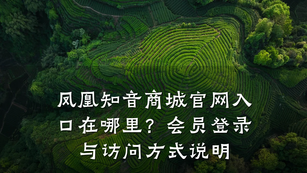 凤凰知音商城官网入口在哪里？会员登录与访问方式说明