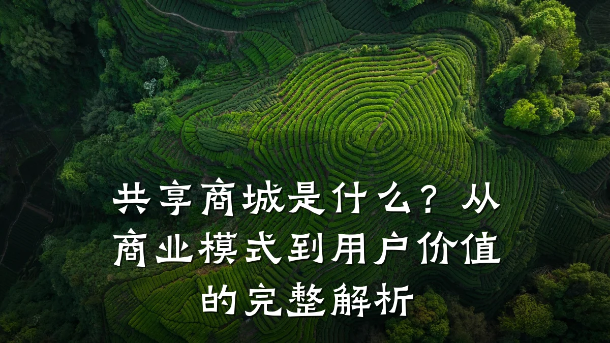 共享商城是什么?从商业模式到用户价值的完整解析