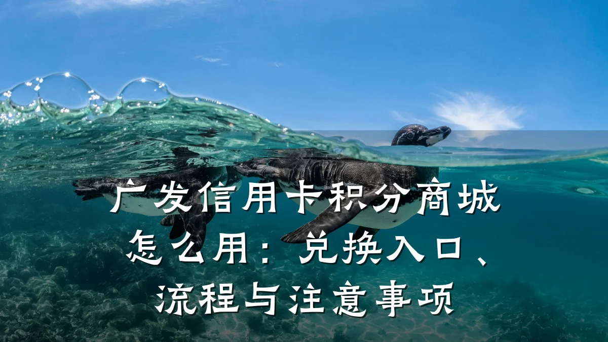 广发信用卡积分商城怎么用:兑换入口、流程与注意事项