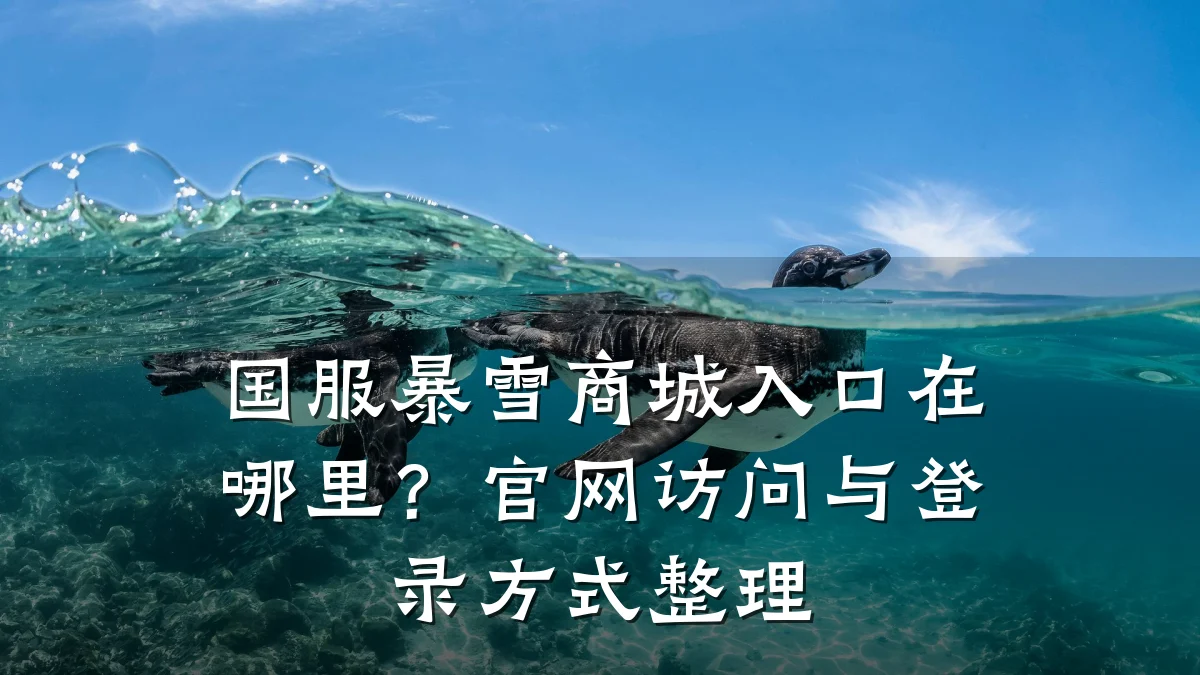 国服暴雪商城入口在哪里?官网访问与登录方式整理