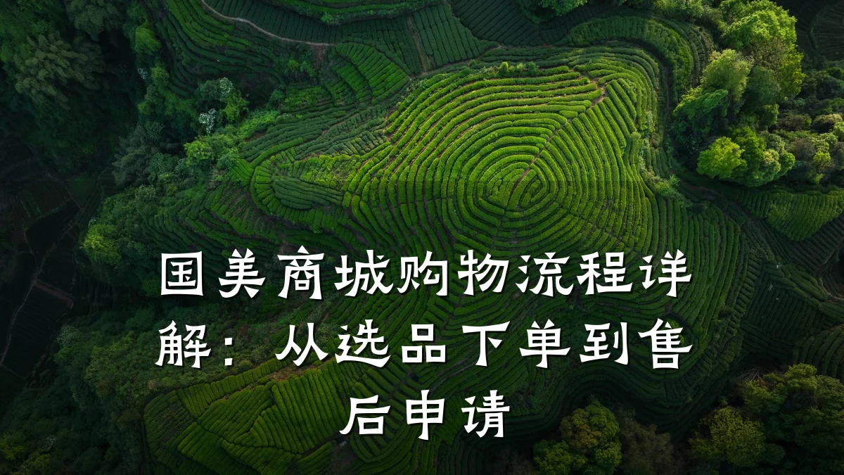 国美商城购物流程详解:从选品下单到售后申请