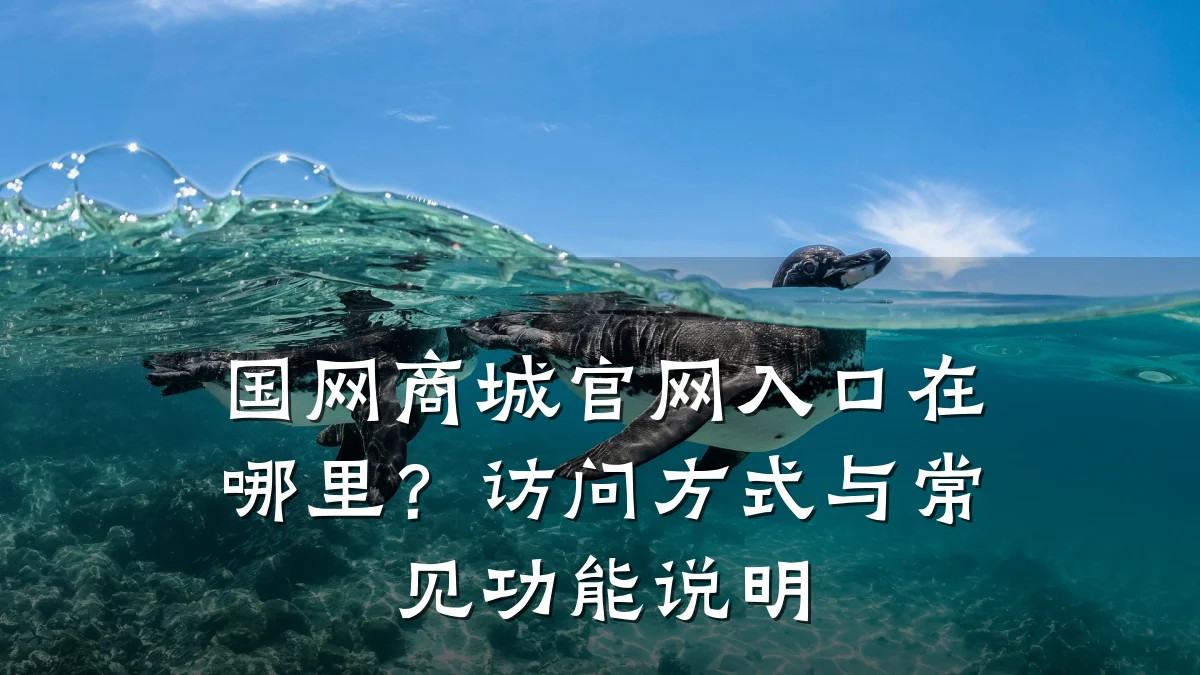 国网商城官网入口在哪里?访问方式与常见功能说明