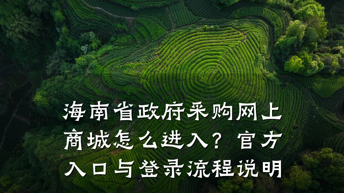 海南省政府采购网上商城怎么进入？官方入口与登录流程说明