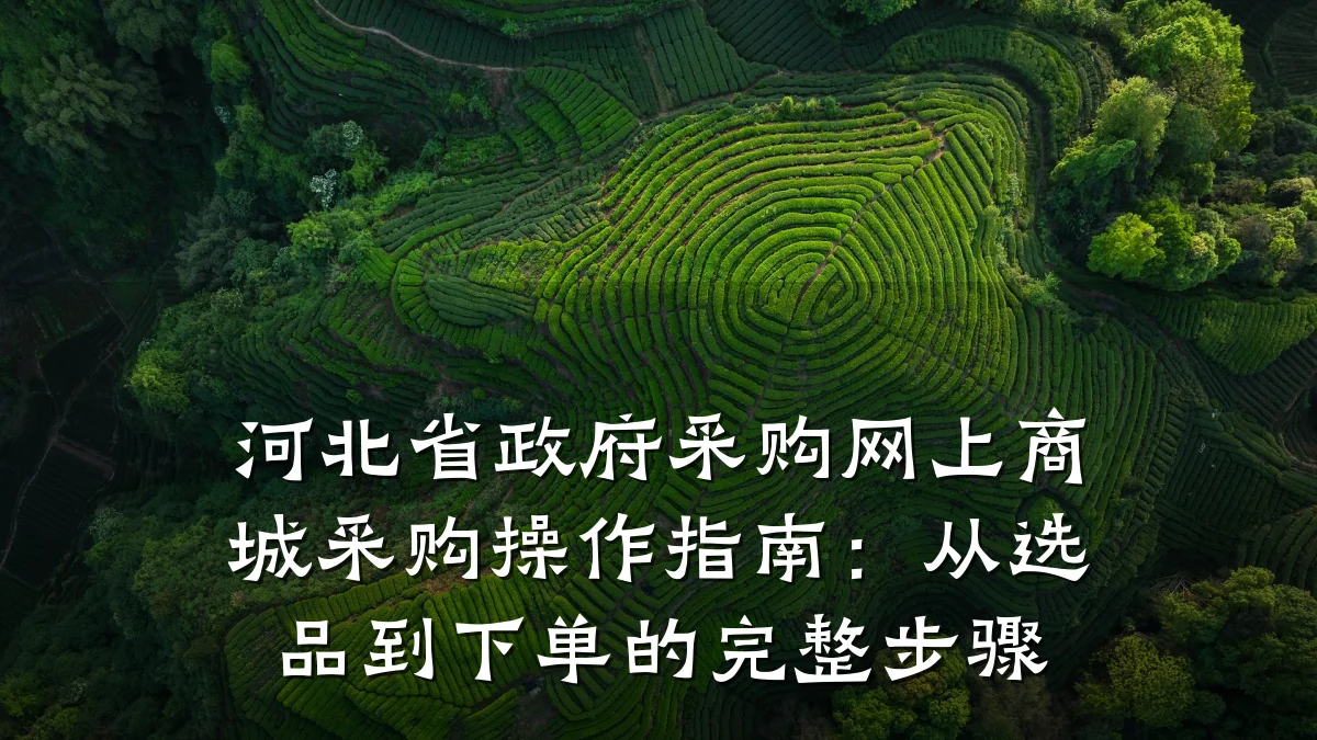 河北省政府采购网上商城采购操作指南：从选品到下单的完整步骤