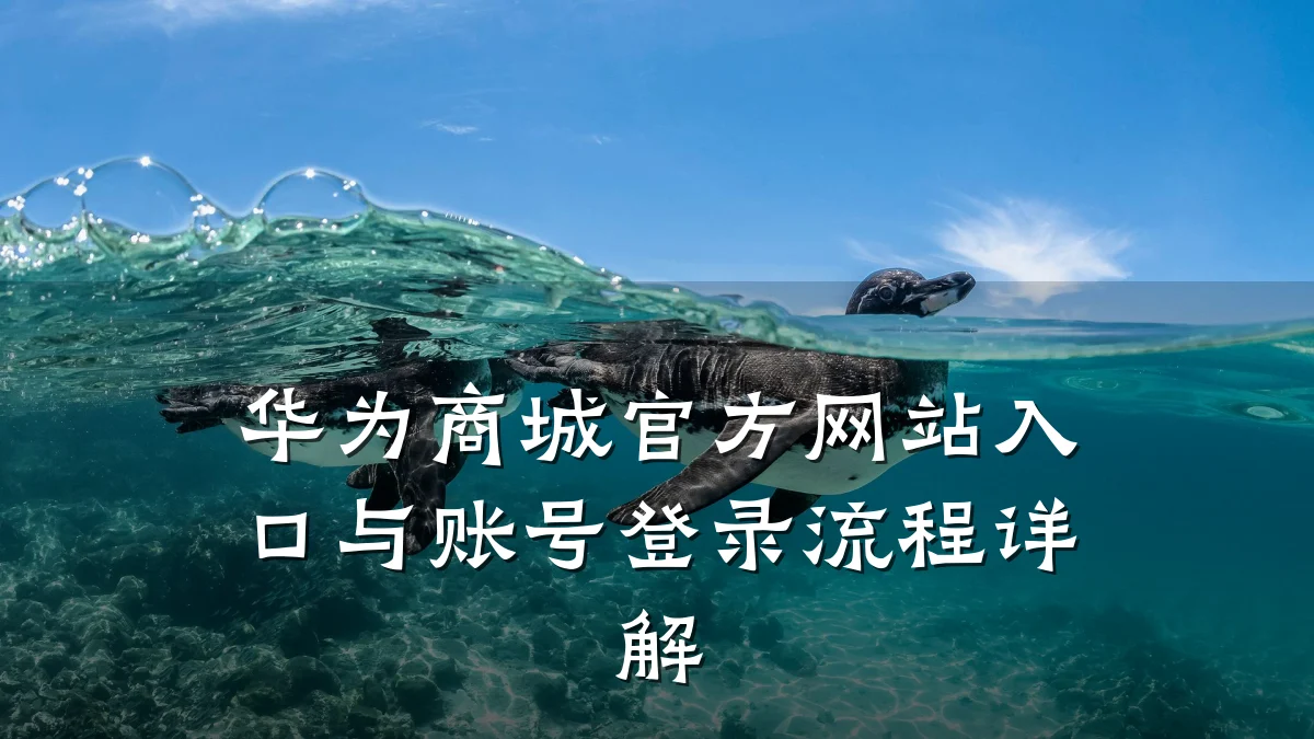 华为商城官方网站入口与账号登录流程详解