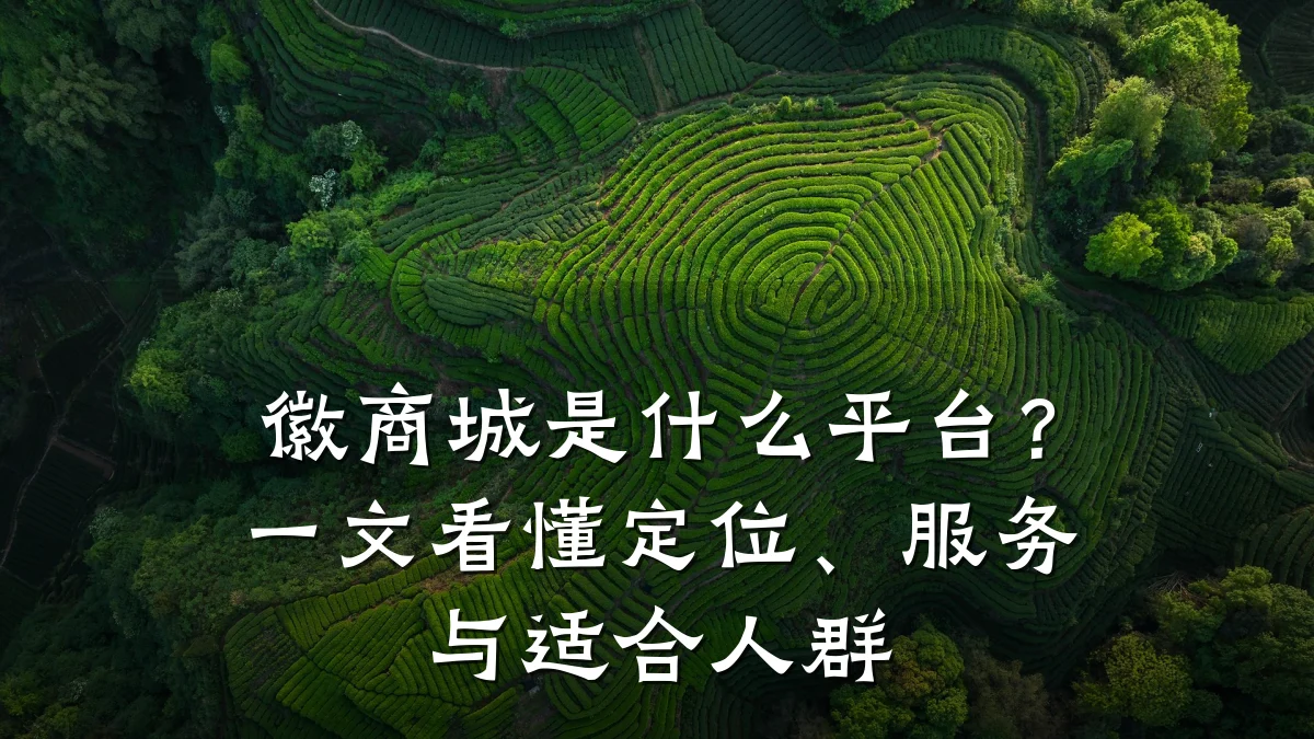 徽商城是什么平台?一文看懂定位、服务与适合人群