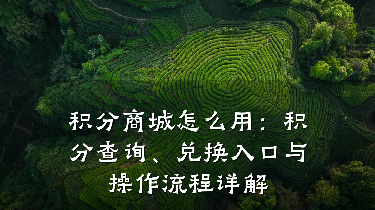 积分商城怎么用:积分查询、兑换入口与操作流程详解