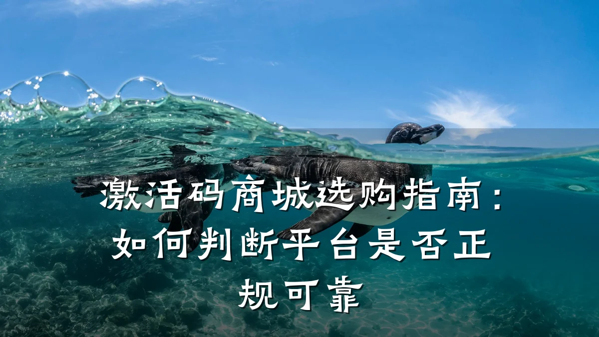 激活码商城选购指南：如何判断平台是否正规可靠