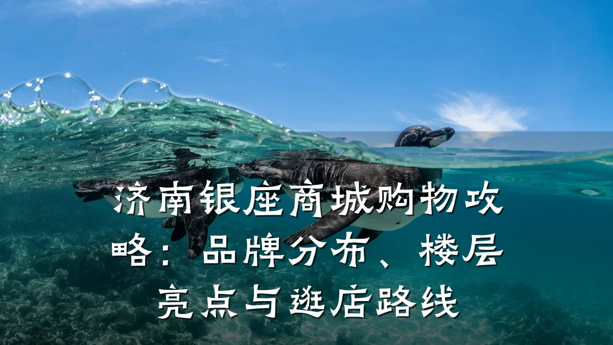 济南银座商城购物攻略:品牌分布、楼层亮点与逛店路线