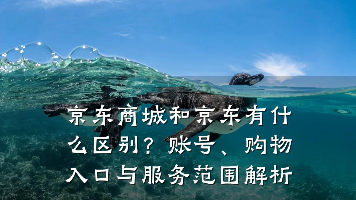 京东商城和京东有什么区别？账号、购物入口与服务范围解析