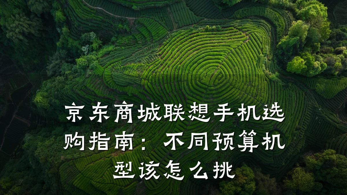 京东商城联想手机选购指南：不同预算机型该怎么挑