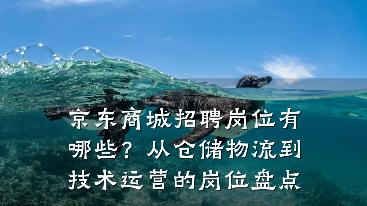 京东商城招聘岗位有哪些?从仓储物流到技术运营的岗位盘点