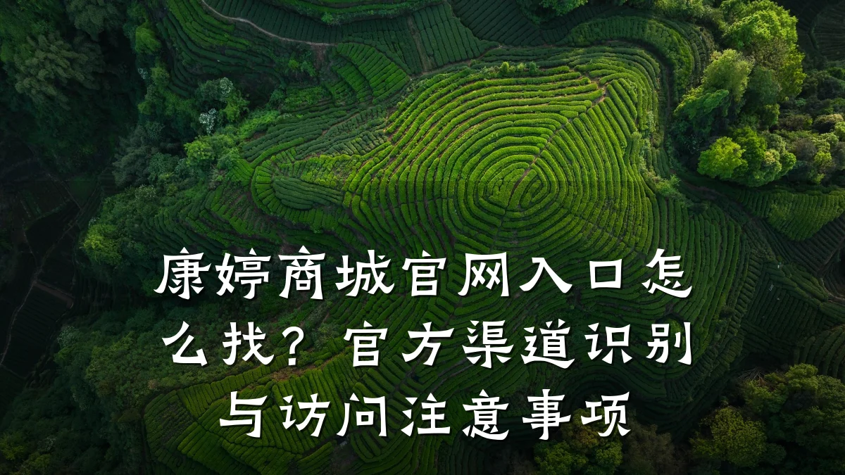 康婷商城官网入口怎么找?官方渠道识别与访问注意事项