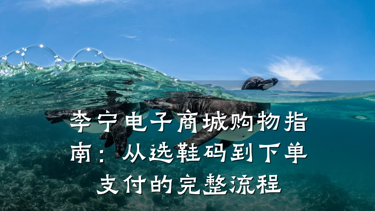 李宁电子商城购物指南：从选鞋码到下单支付的完整流程
