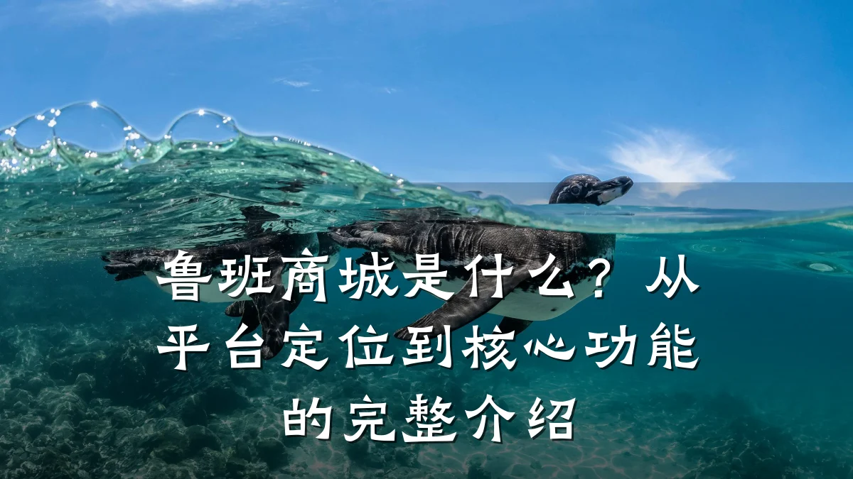 鲁班商城是什么?从平台定位到核心功能的完整介绍