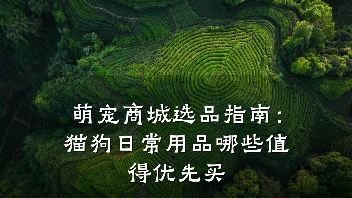 萌宠商城选品指南：猫狗日常用品哪些值得优先买