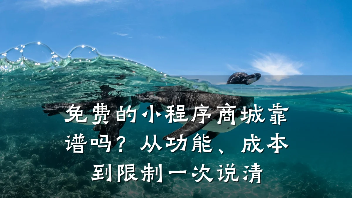 免费的小程序商城靠谱吗?从功能、成本到限制一次说清