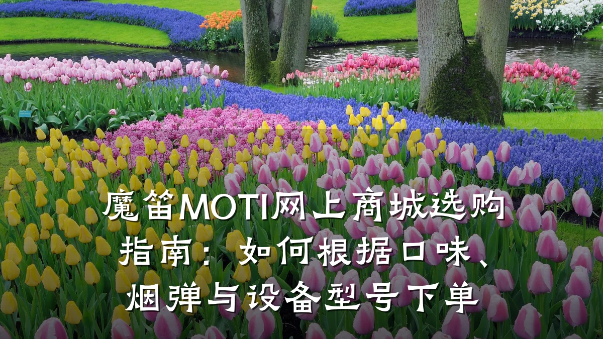 魔笛MOTI网上商城选购指南：如何根据口味、烟弹与设备型号下单