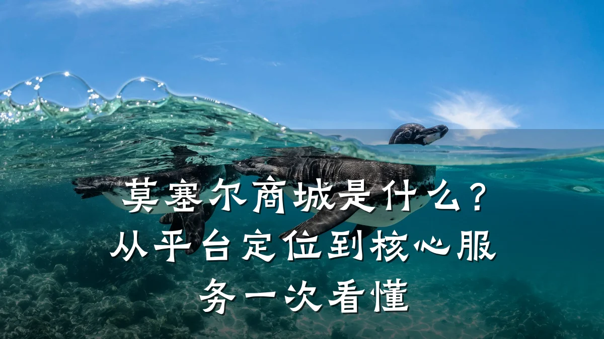 莫塞尔商城是什么?从平台定位到核心服务一次看懂
