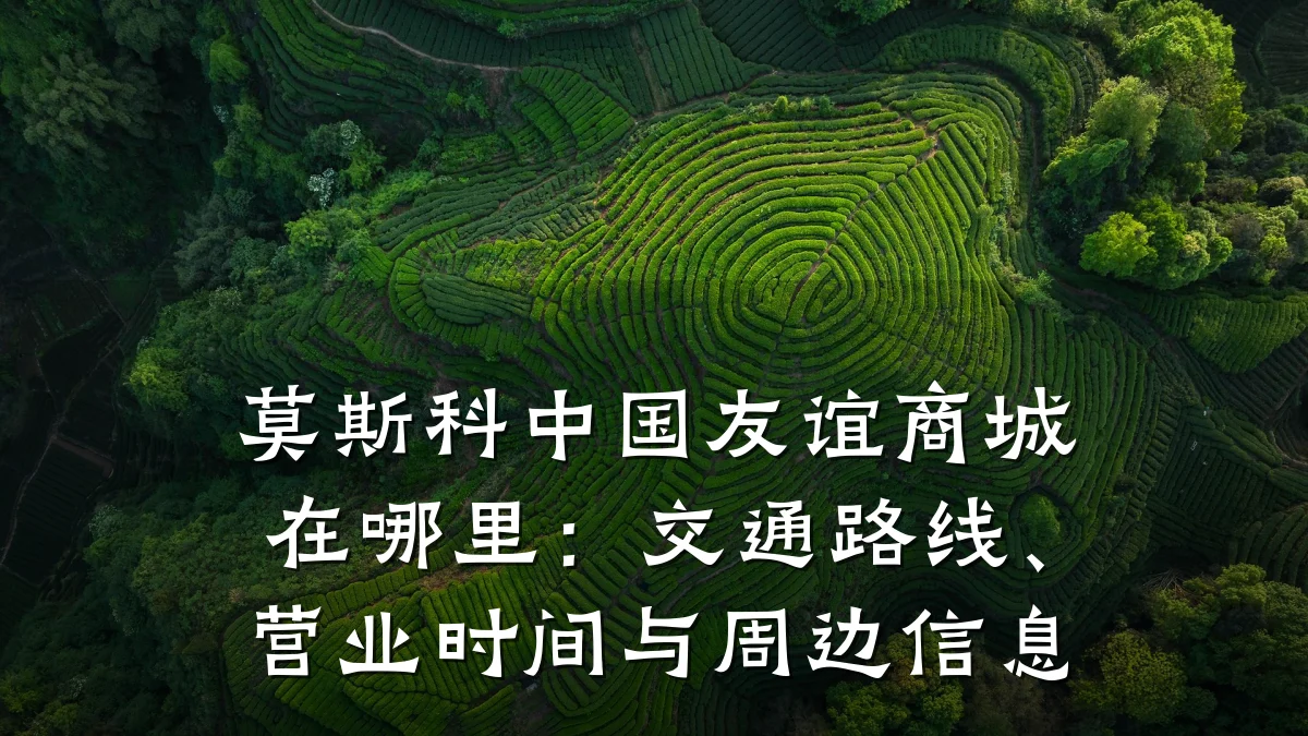 莫斯科中国友谊商城在哪里：交通路线、营业时间与周边信息