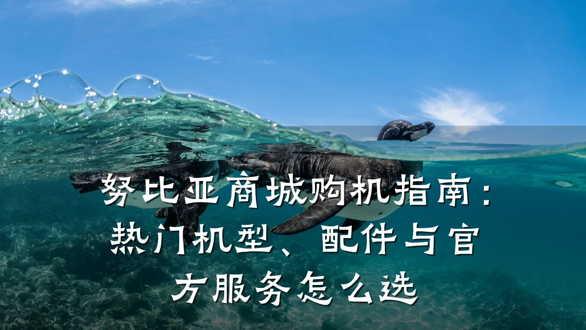 努比亚商城购机指南:热门机型、配件与官方服务怎么选