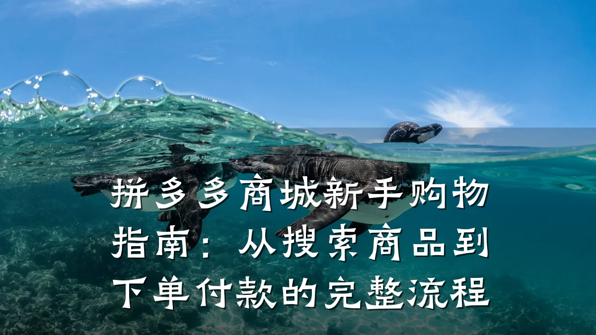 拼多多商城新手购物指南:从搜索商品到下单付款的完整流程