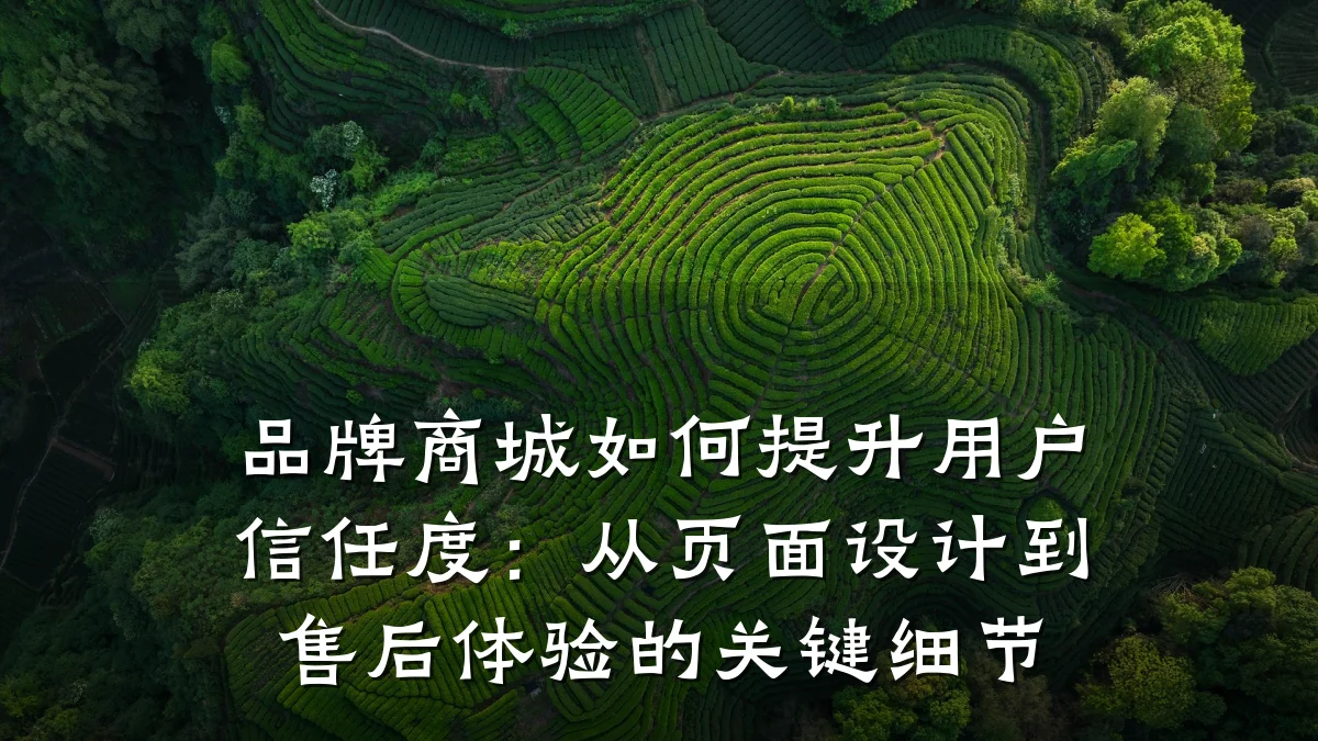品牌商城如何提升用户信任度：从页面设计到售后体验的关键细节