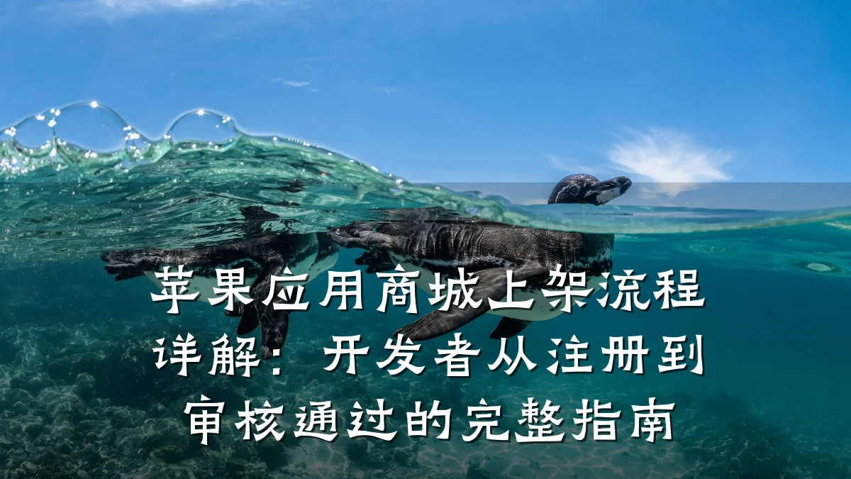 苹果应用商城上架流程详解:开发者从注册到审核通过的完整指南