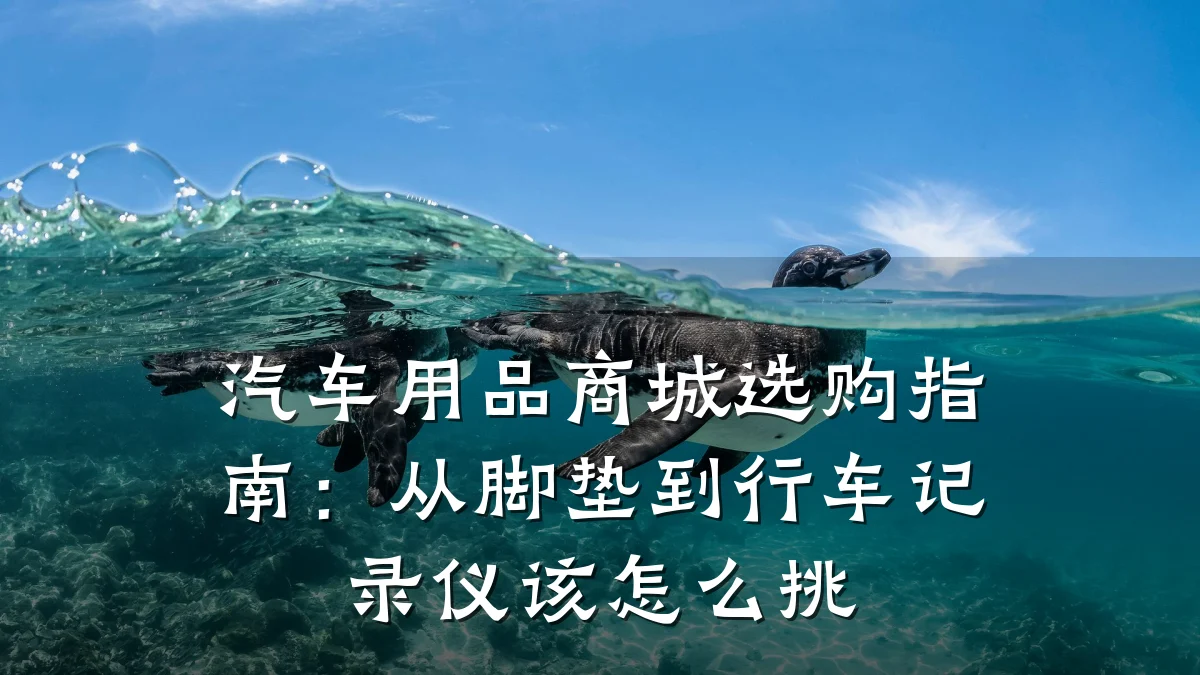 汽车用品商城选购指南：从脚垫到行车记录仪该怎么挑