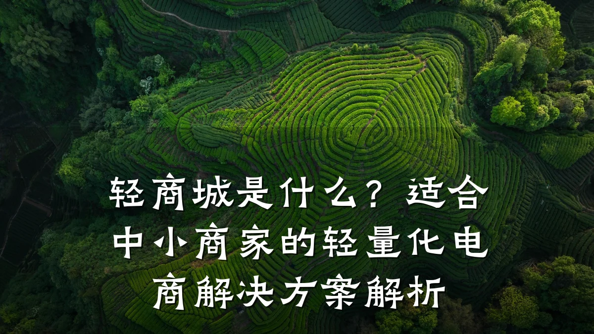 轻商城是什么？适合中小商家的轻量化电商解决方案解析