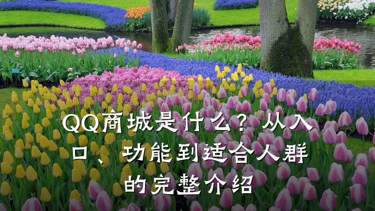 QQ商城是什么?从入口、功能到适合人群的完整介绍
