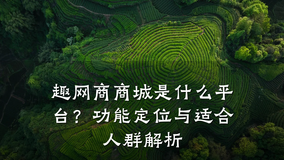 趣网商商城是什么平台？功能定位与适合人群解析