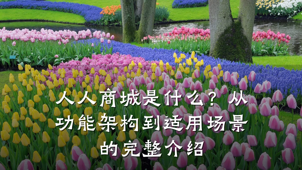 人人商城是什么？从功能架构到适用场景的完整介绍