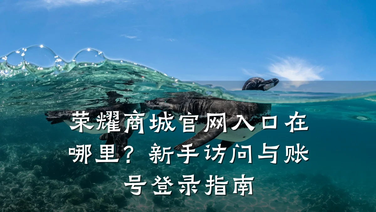 荣耀商城官网入口在哪里?新手访问与账号登录指南